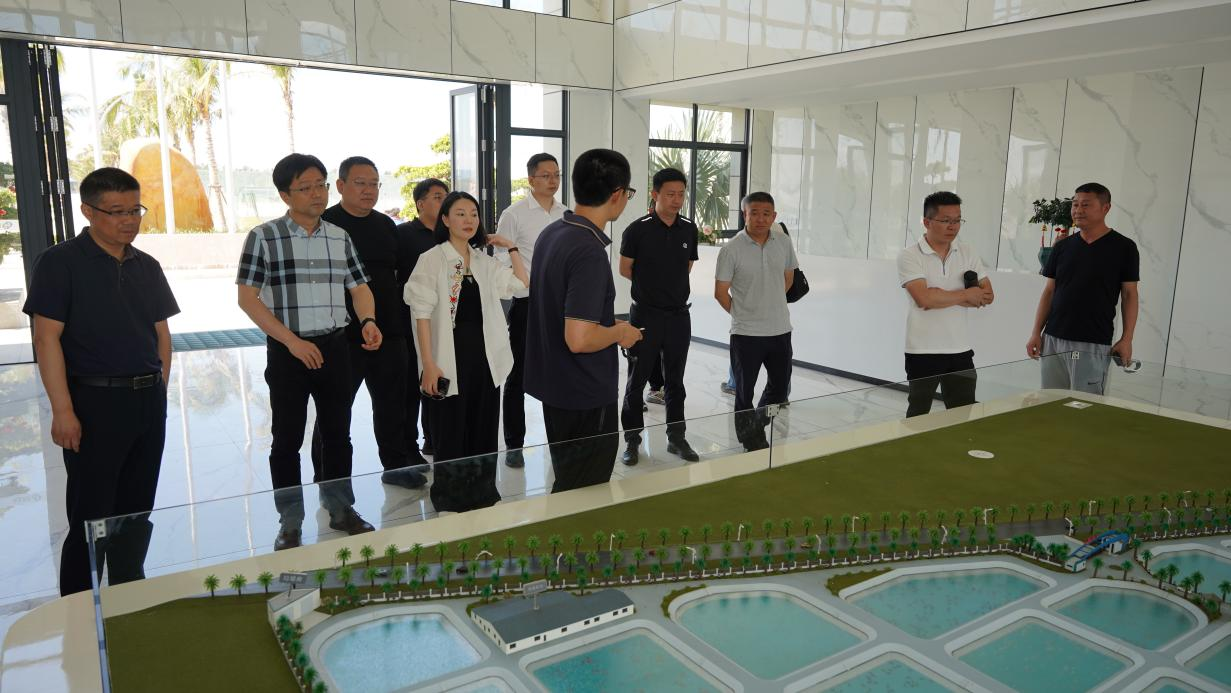 政企攜手探路水產科技——鏈接海南晨海共繪產業新篇